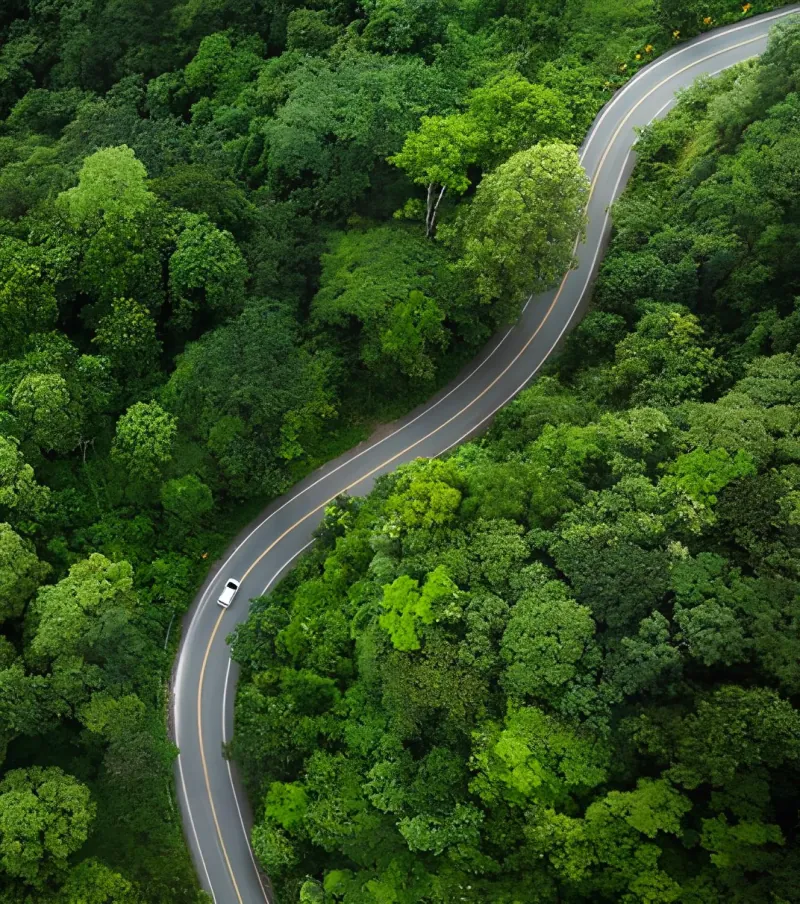 多様な取り組み